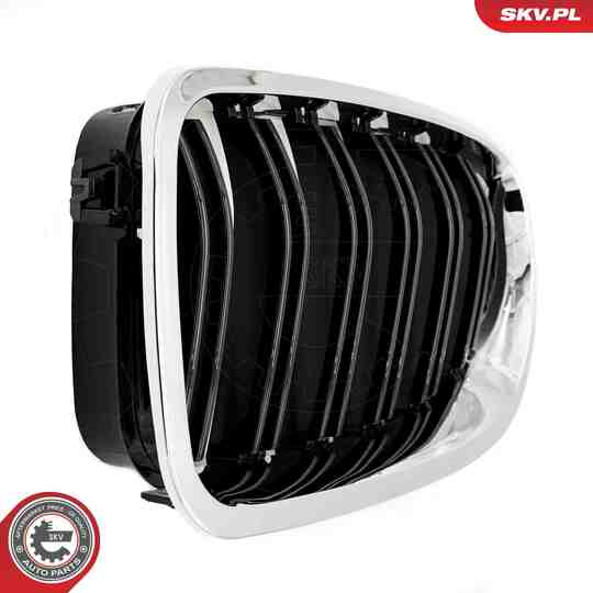 66SKV187 - Radiator Grille 