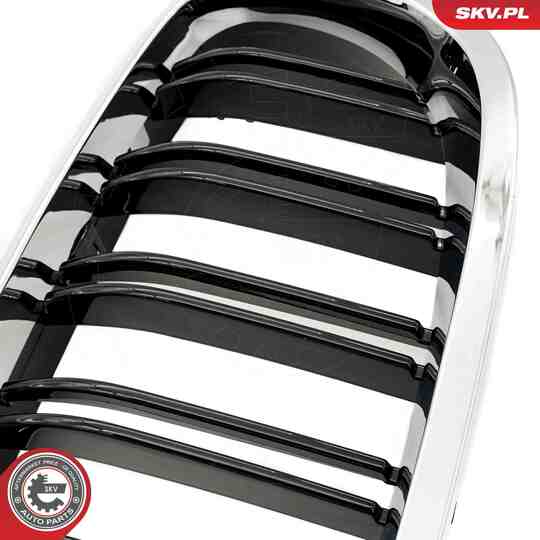 66SKV187 - Radiator Grille 