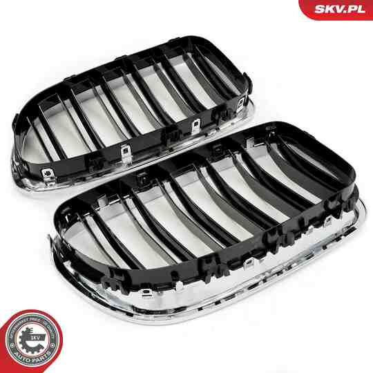 66SKV187 - Radiator Grille 