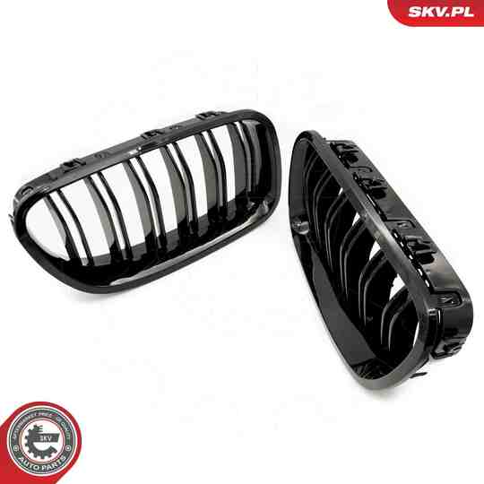 66SKV183 - Radiator Grille 