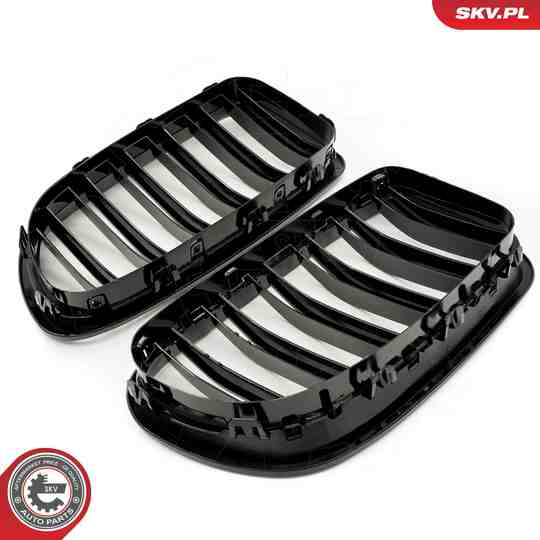 66SKV183 - Radiator Grille 