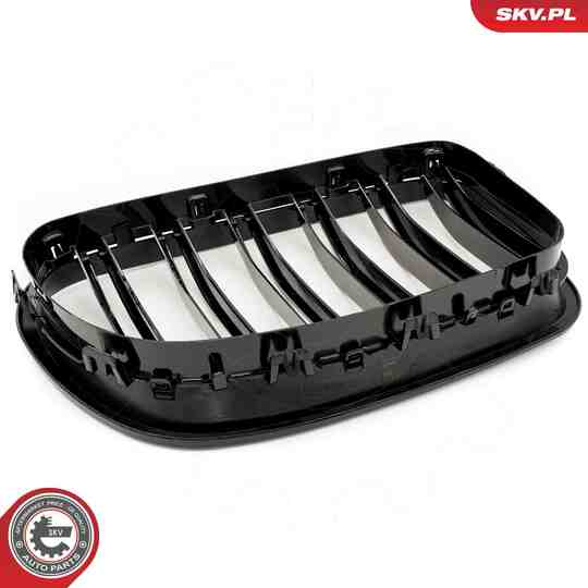 66SKV183 - Radiator Grille 