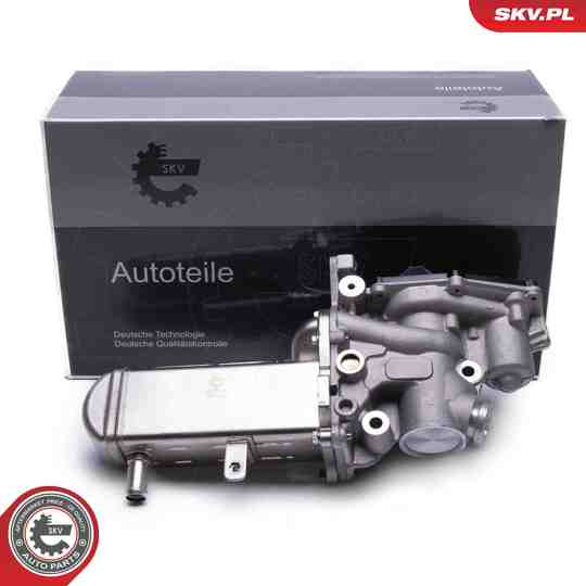 14SKV241 - EGR Valve 