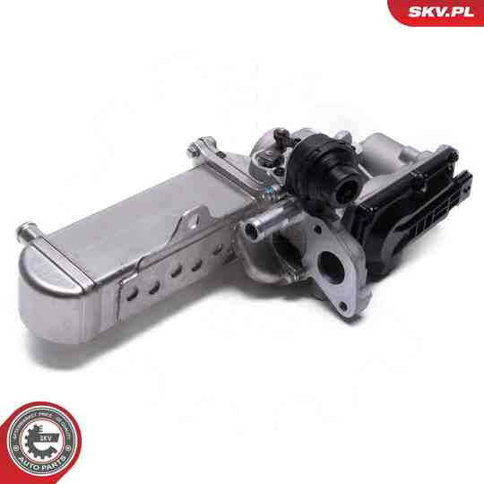 14SKV241 - EGR Valve 