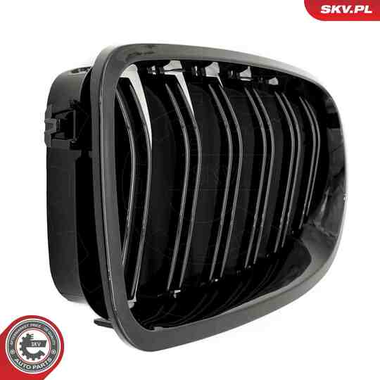 66SKV183 - Radiator Grille 