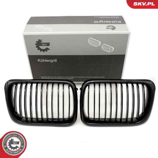 66SKV049 - Radiator Grille 