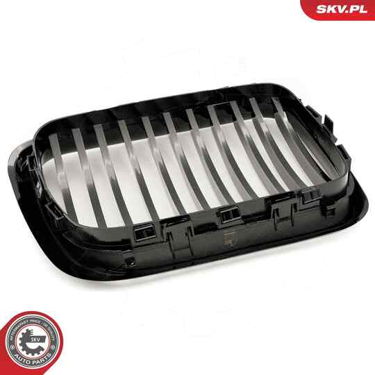 66SKV049 - Radiator Grille 