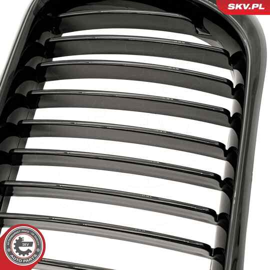 66SKV049 - Radiator Grille 