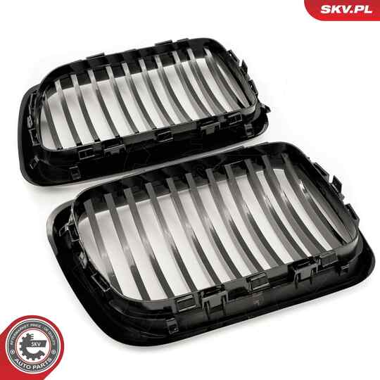 66SKV049 - Radiator Grille 