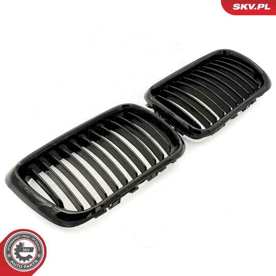 66SKV049 - Radiator Grille 