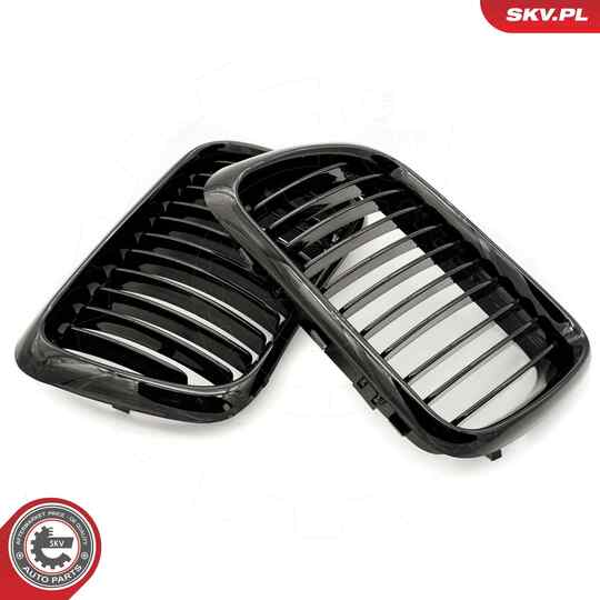 66SKV049 - Radiator Grille 