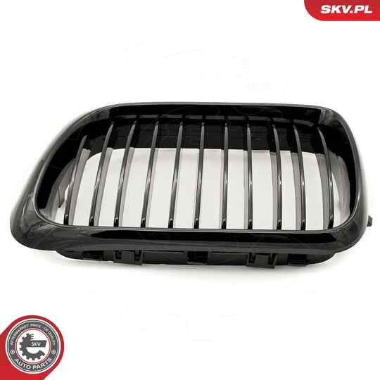 66SKV049 - Radiator Grille 