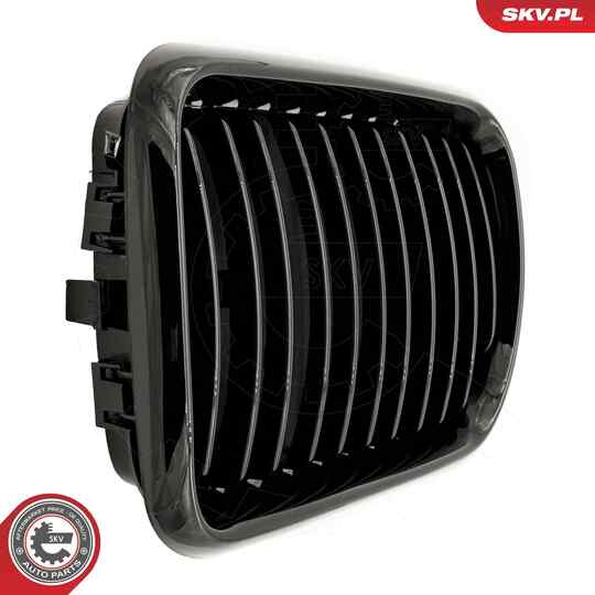 66SKV049 - Radiator Grille 