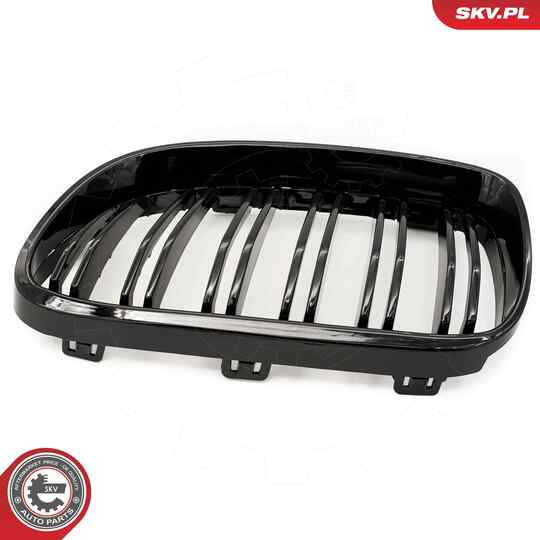 66SKV116 - Radiator Grille 