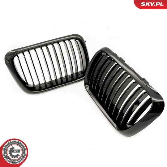 66SKV049 - Radiator Grille 