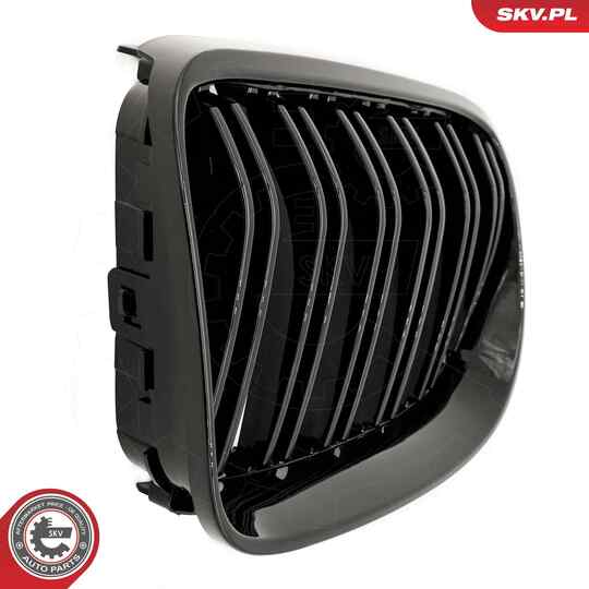 66SKV116 - Radiator Grille 