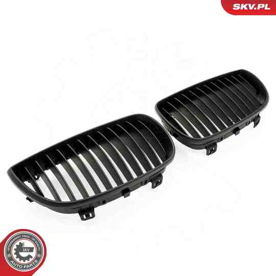 66SKV003 - Radiator Grille 