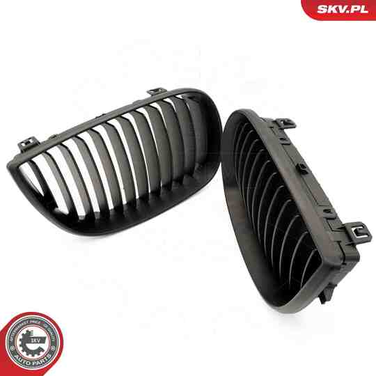 66SKV003 - Radiator Grille 