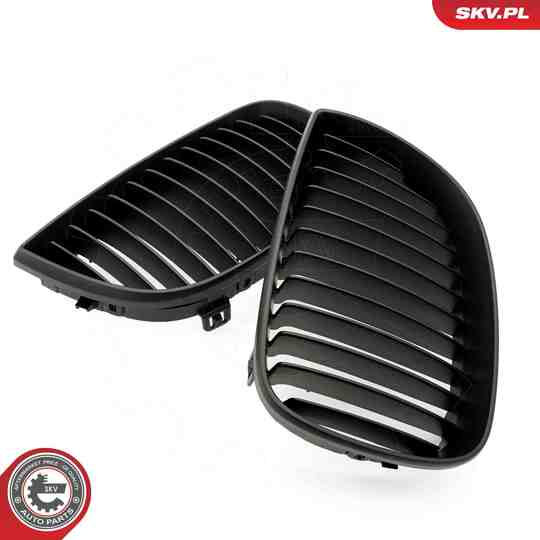 66SKV003 - Radiator Grille 