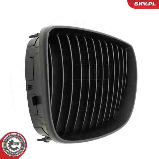 66SKV003 - Radiator Grille 