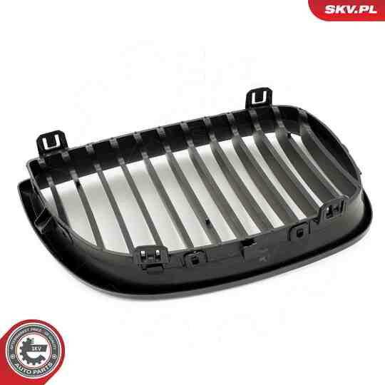 66SKV003 - Radiator Grille 