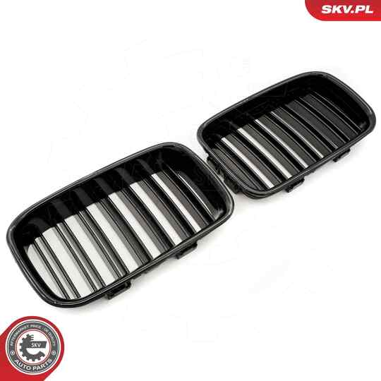 66SKV047 - Radiator Grille 