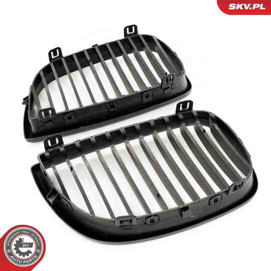 66SKV003 - Radiator Grille 