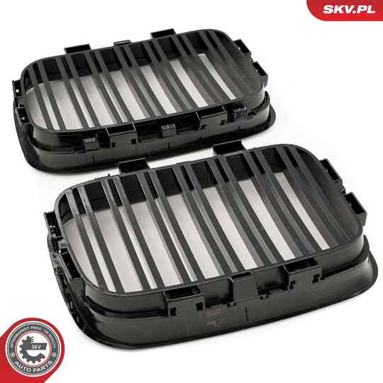 66SKV047 - Radiator Grille 