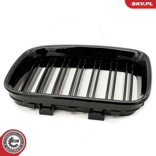 66SKV047 - Radiator Grille 