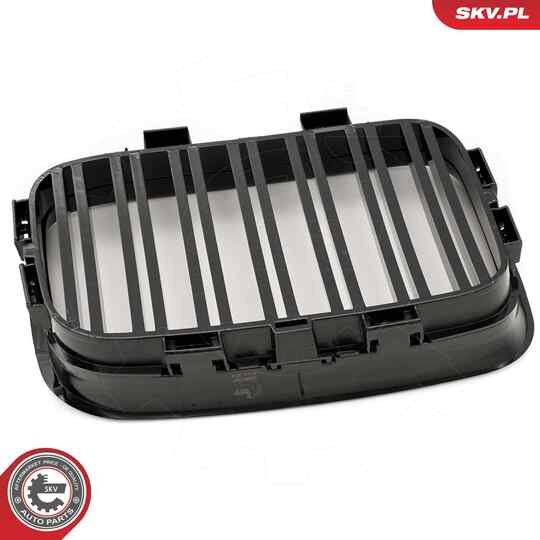 66SKV047 - Radiator Grille 