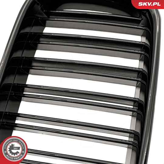 66SKV047 - Radiator Grille 