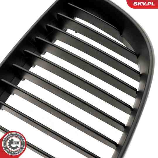 66SKV003 - Radiator Grille 