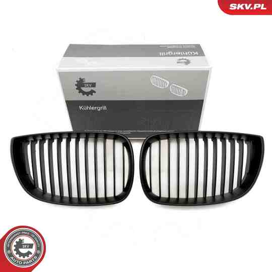 66SKV003 - Radiator Grille 