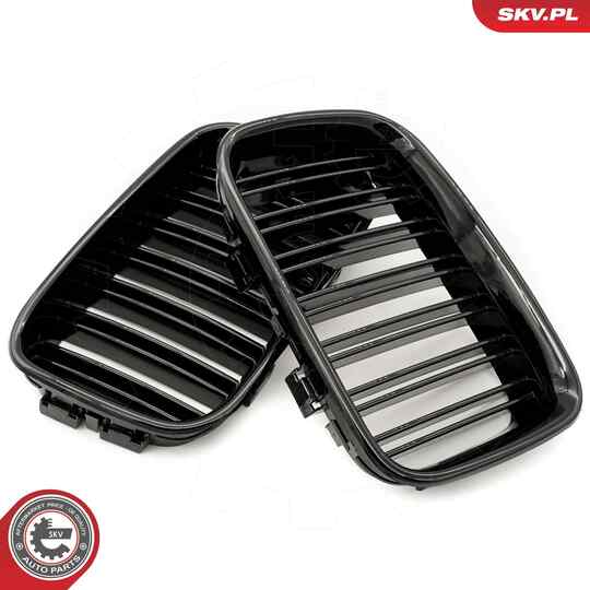 66SKV047 - Radiator Grille 