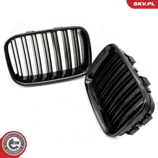 66SKV047 - Radiator Grille 