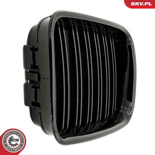 66SKV047 - Radiator Grille 