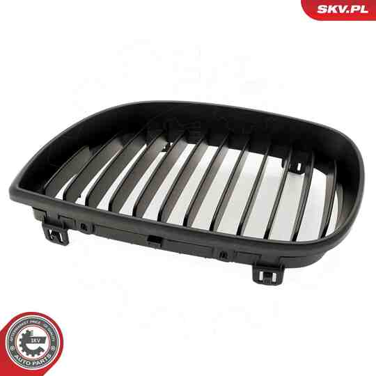 66SKV003 - Radiator Grille 