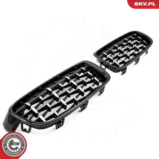 66SKV129 - Radiator Grille 