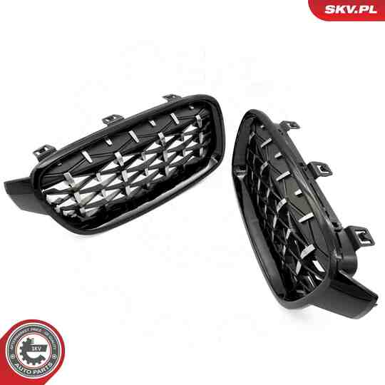 66SKV129 - Radiator Grille 