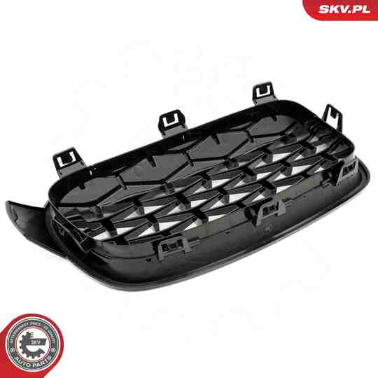 66SKV129 - Radiator Grille 