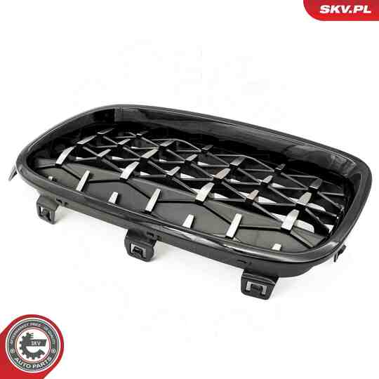 66SKV129 - Radiator Grille 