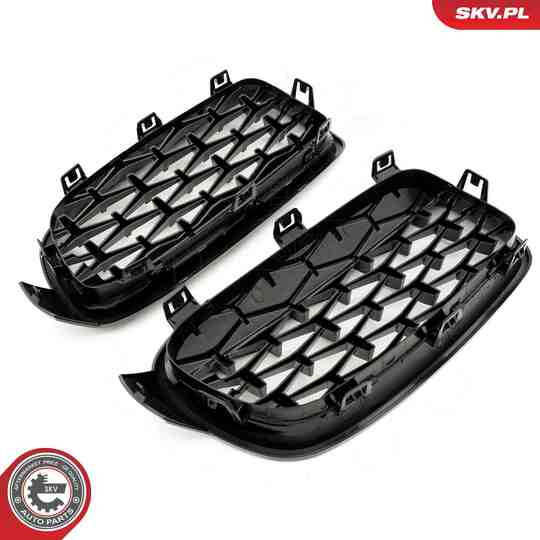 66SKV129 - Radiator Grille 