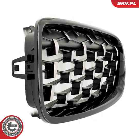 66SKV129 - Radiator Grille 