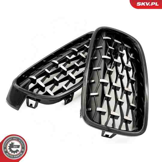 66SKV129 - Radiator Grille 