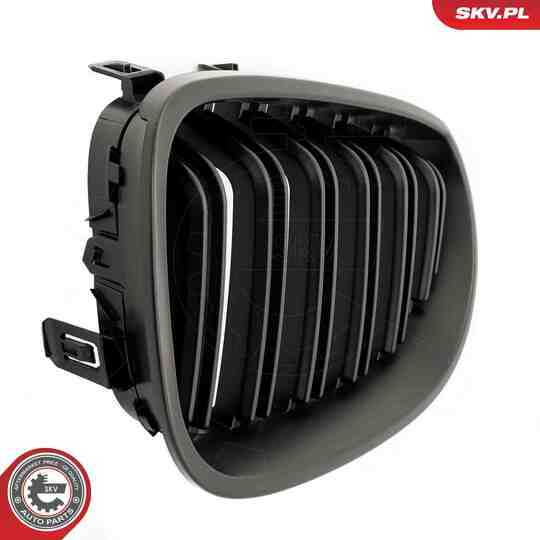 66SKV173 - Radiator Grille 