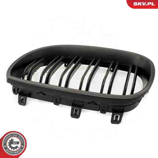 66SKV173 - Radiator Grille 