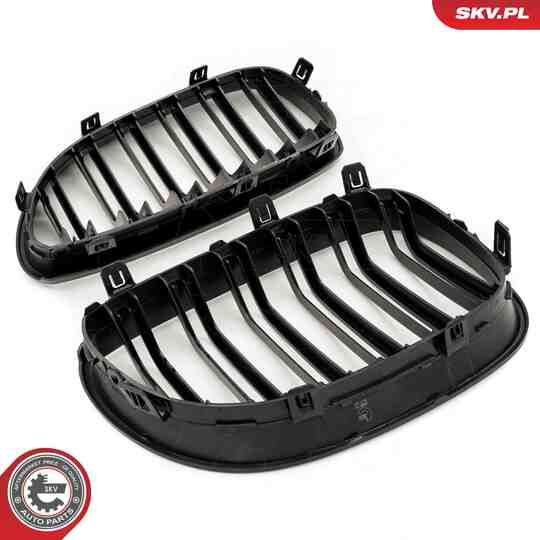 66SKV173 - Radiator Grille 