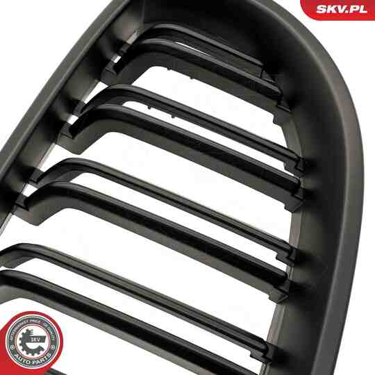 66SKV173 - Radiator Grille 