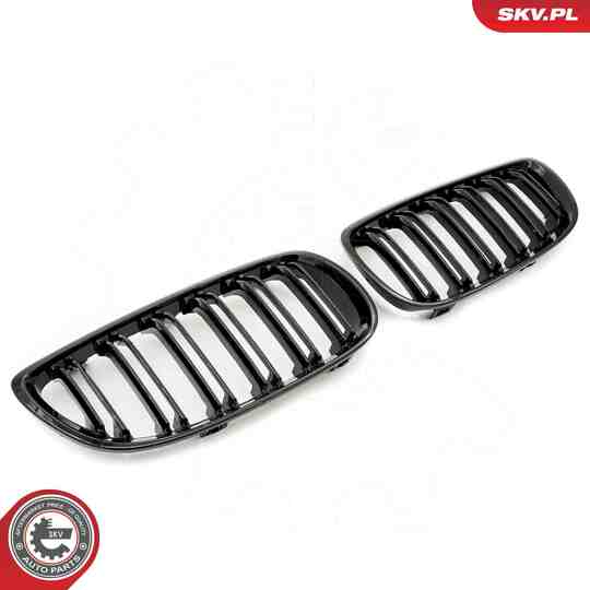 66SKV107 - Radiator Grille 