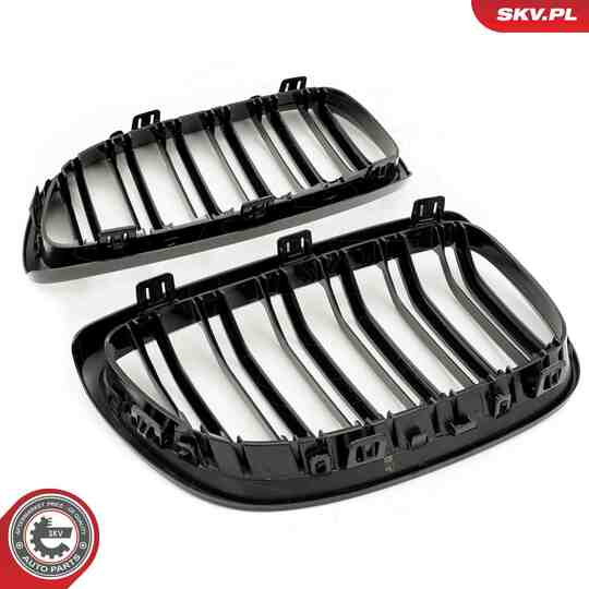 66SKV107 - Radiator Grille 